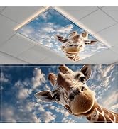 2 Pack Fluorescent Light Covers- 4 x 2 Feet Magnetic Ceiling Light Cover Room Supplies (A Deer)