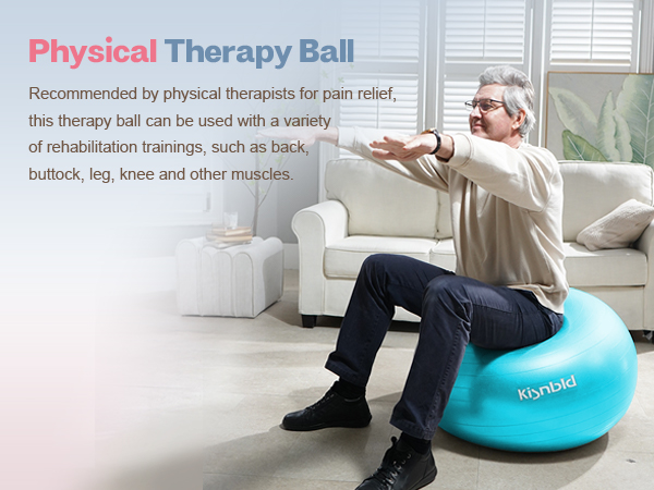 physical therapy ball