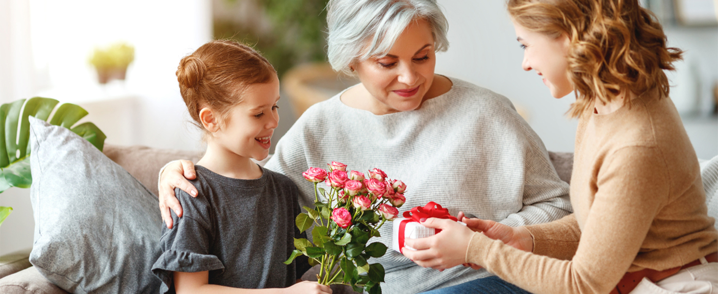 karaoke machine for adults