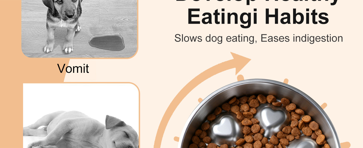 Stainless Steel Slow Feeder Dog Bowls