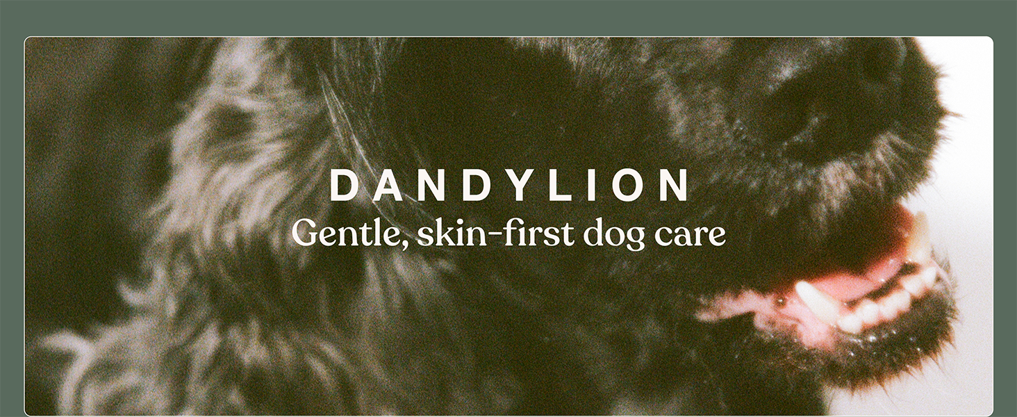 Dandylion: Gentle, skin-first dog care