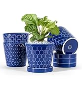 BUYMAX Ceramic Plant Pots –5 inch Indoor Flower Pot with Drainage Hole and Ceramic Tray - Gardeni...