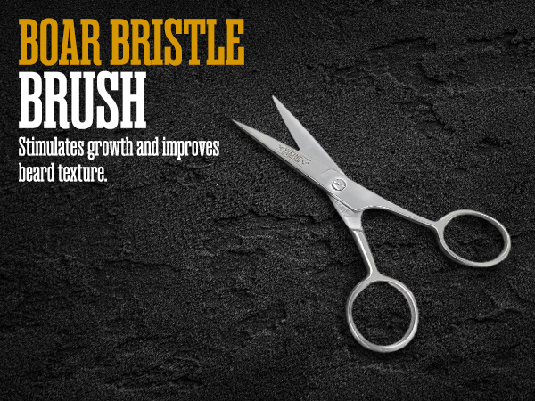Stainless Steel Scissors