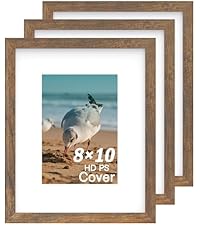https://m.media-amazon.com/images/S/aplus-media-library-service-media/174fc02b-5299-43c2-82c6-2743d2f5830e.__AC_SR200,225___.jpg