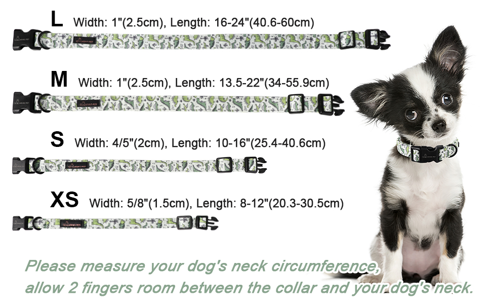 dinosaur dog collar