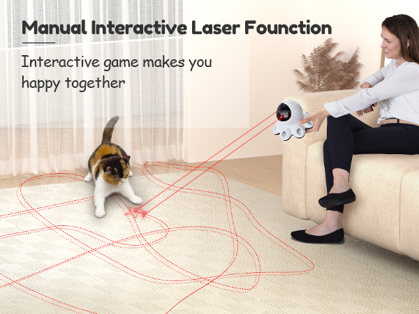 interactive cat toy
