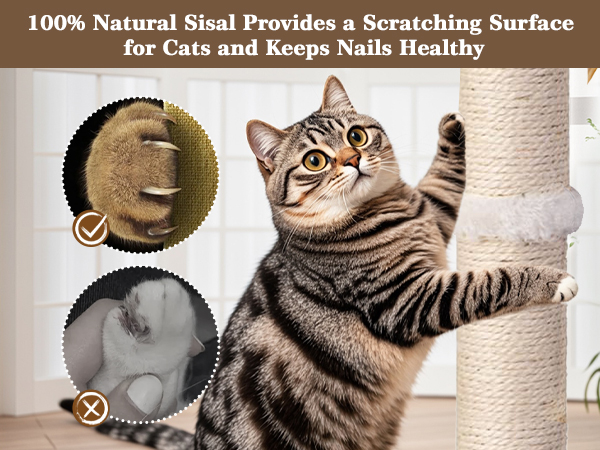 Cat Scratching Post