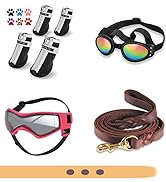 leather dog leash