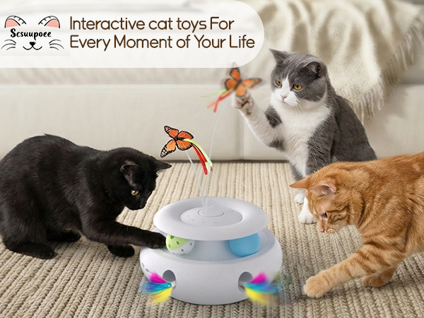 cat toy