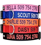 GoTags Personalized Dog Collar, Custom Embroidered with Pet Name and Phone Number in Blue, Black,...