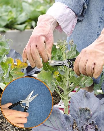 succulent tools kit