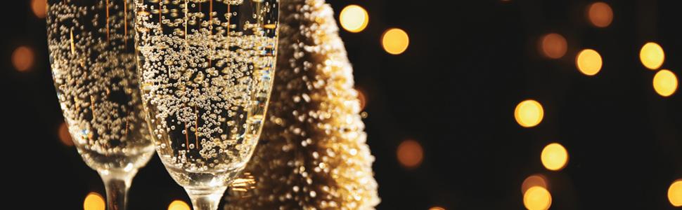 Champagne stopper keep wine fizzy