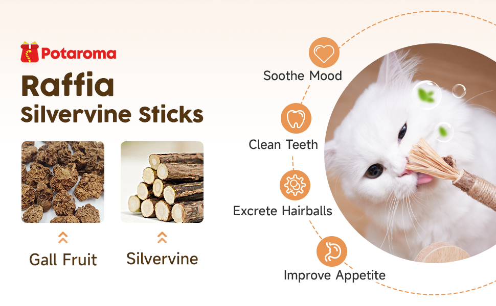 Raffia SilverVine Sticks