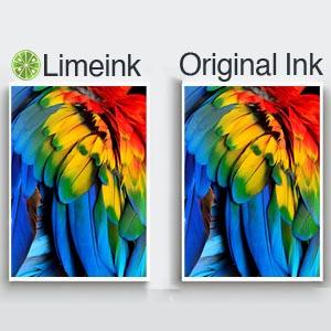 ink fidelity