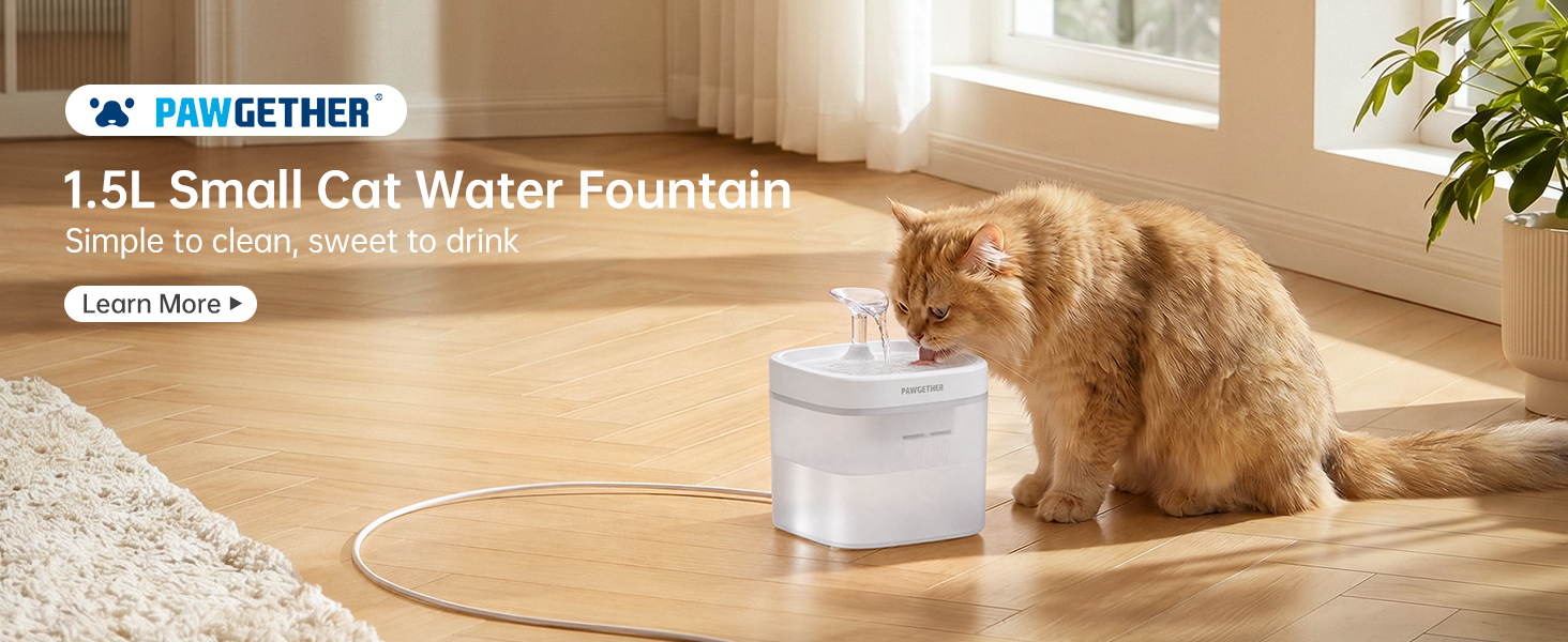 cat water fountain
