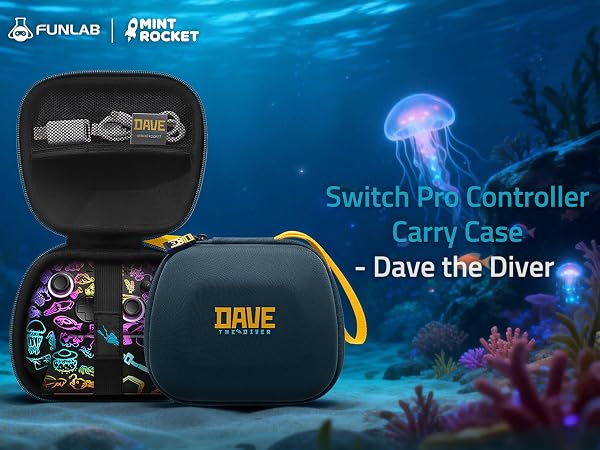 Switch Pro Controller Case