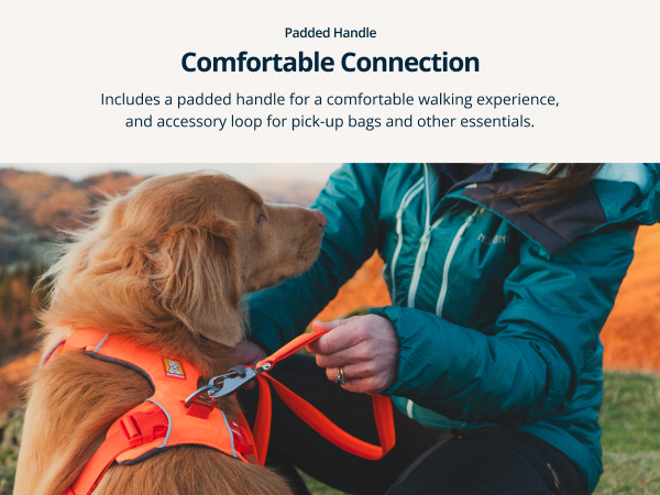 Lightweight webbing dog leash with ombré color patterns to match Front Range harnesses.