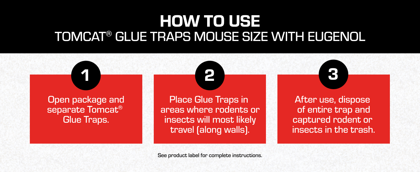 How to Use the Glue Trap Mouse Size with Eugenol.