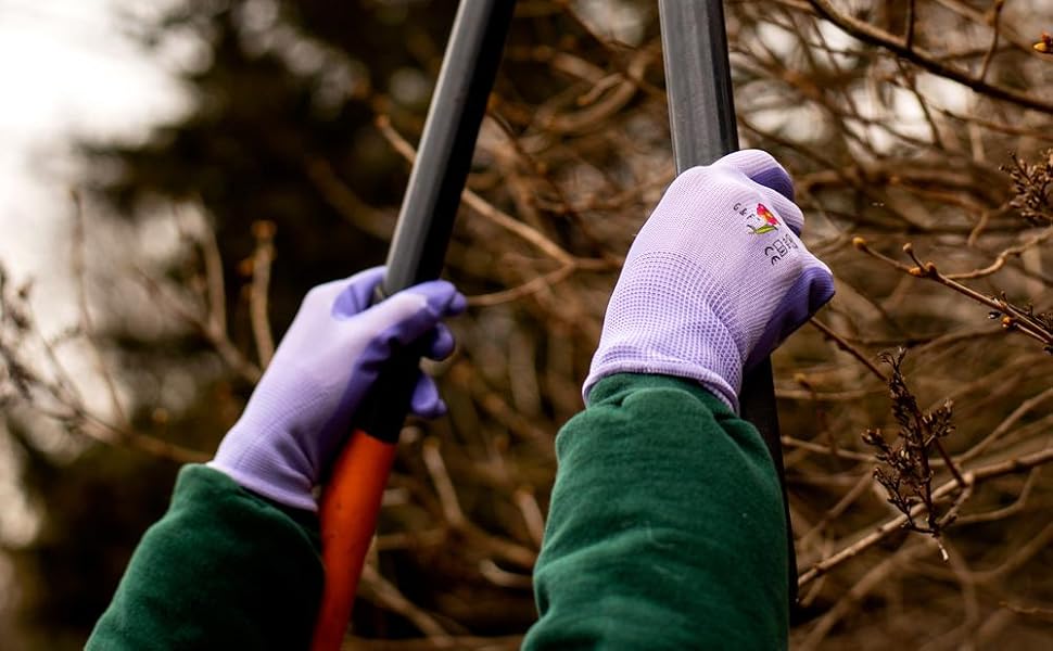 pruning