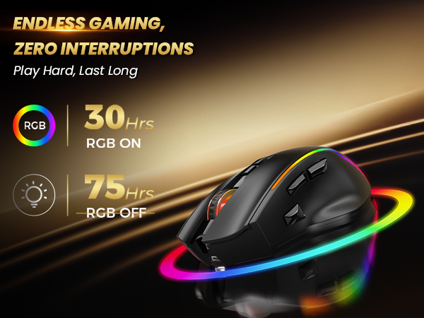 Text reads "ENDLESS GAMING, ZERO INTERRUPTIONS", "Play Hard Last long", "30Hrs RGB ON", "75Hrs RGB OFF". Black gaming mouse with RGB lighting shown on motion-blur background, highlighting 30-hour and 75-hour battery specifications.
