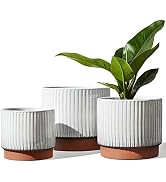 LE TAUCI Ceramic Plant Pots with Drainage Holes, Set of 3, 8+6.7+5.5 Inch Stripe Garden Planter P...