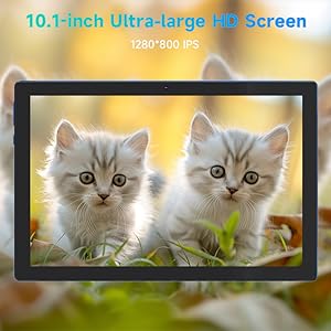 10 inch Android 13 Tablet