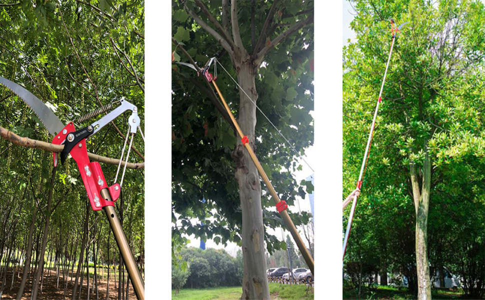 Extendable Tree Pruner Saw