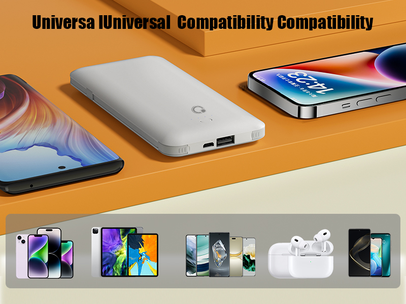 power bank with wall plug