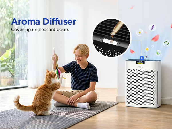 2 in 1 air purifier and aroma diffuser with essential oil tray to cover unpleasant pet odors
