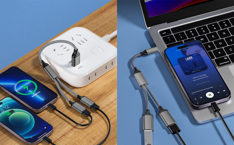 USB Male to Dual USB-C Female Splitter Cable