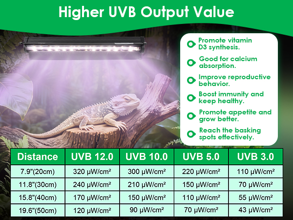 uvb light for reptiles