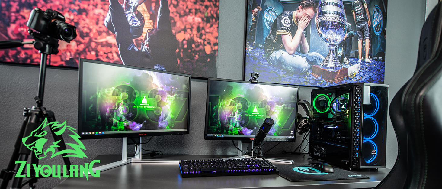 ZIYOU LANG Gaming Keyboard
