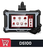 DS100