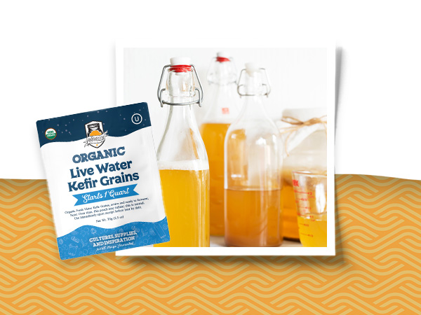 strained funnels simply organico kefier jefir frasco granulos fermetacion fermentacion strsiner flow