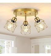 Baocuz 3-Light Brushed Gold Kitchen Light Fixtures, Modern Close to Ceiling Light with Metal Cage...