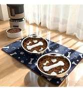 Stainless Steel Slow Feeder Dog Bowls with Pet Feeding Mat,2 Pcs Slow Food Bowl for Dog & Cat - 2...