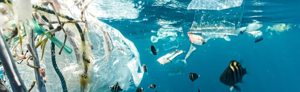 Ocean Plastic