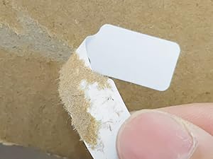 Ring Tags