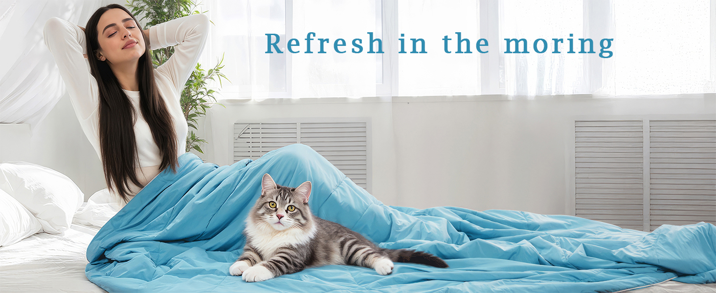 refresh in the morning