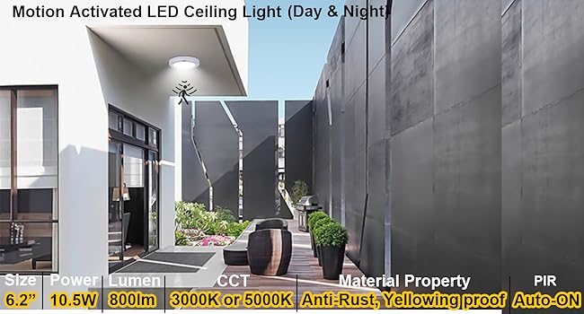 ceiling light with motion sensor