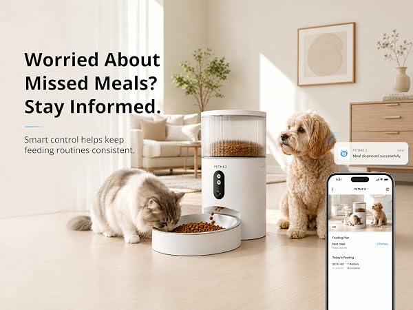 automatic cat feeder with camera