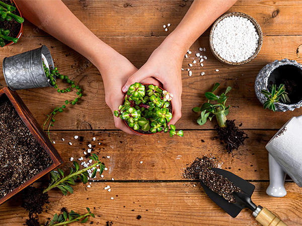 Succulent tools are specially designed for gardening enthusiasts and beginners,a perfect gift