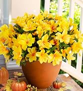 yellow artificial flowers