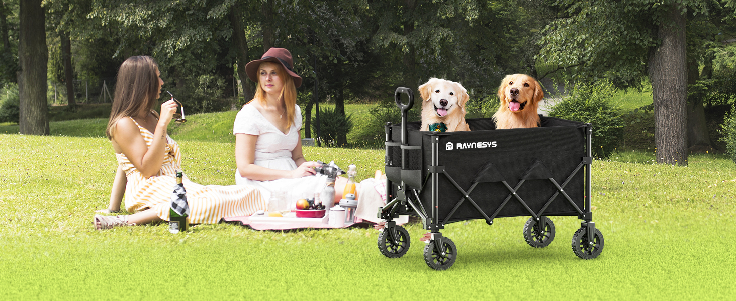 wagons carts foldable