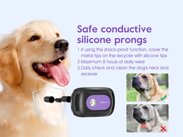 e collar for dogs training