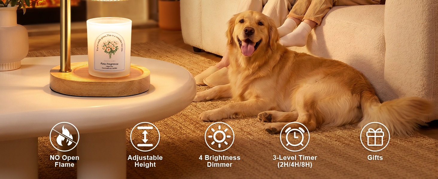 candle warmer