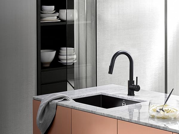 Kitchen Faucet