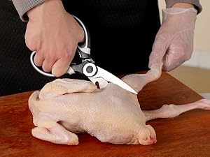 meat shears