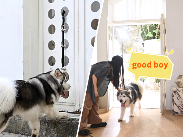 After the dog peed, it touched the bell, the owner opened the door, and the dog happily went home