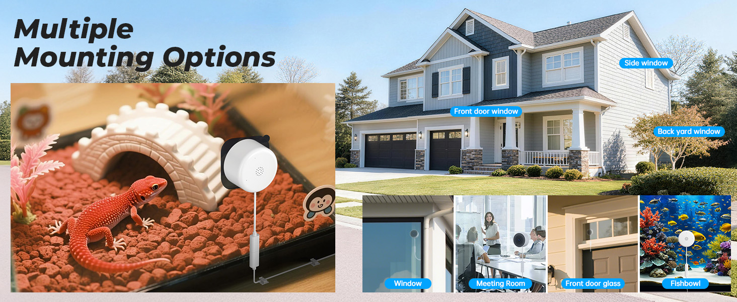window security camera